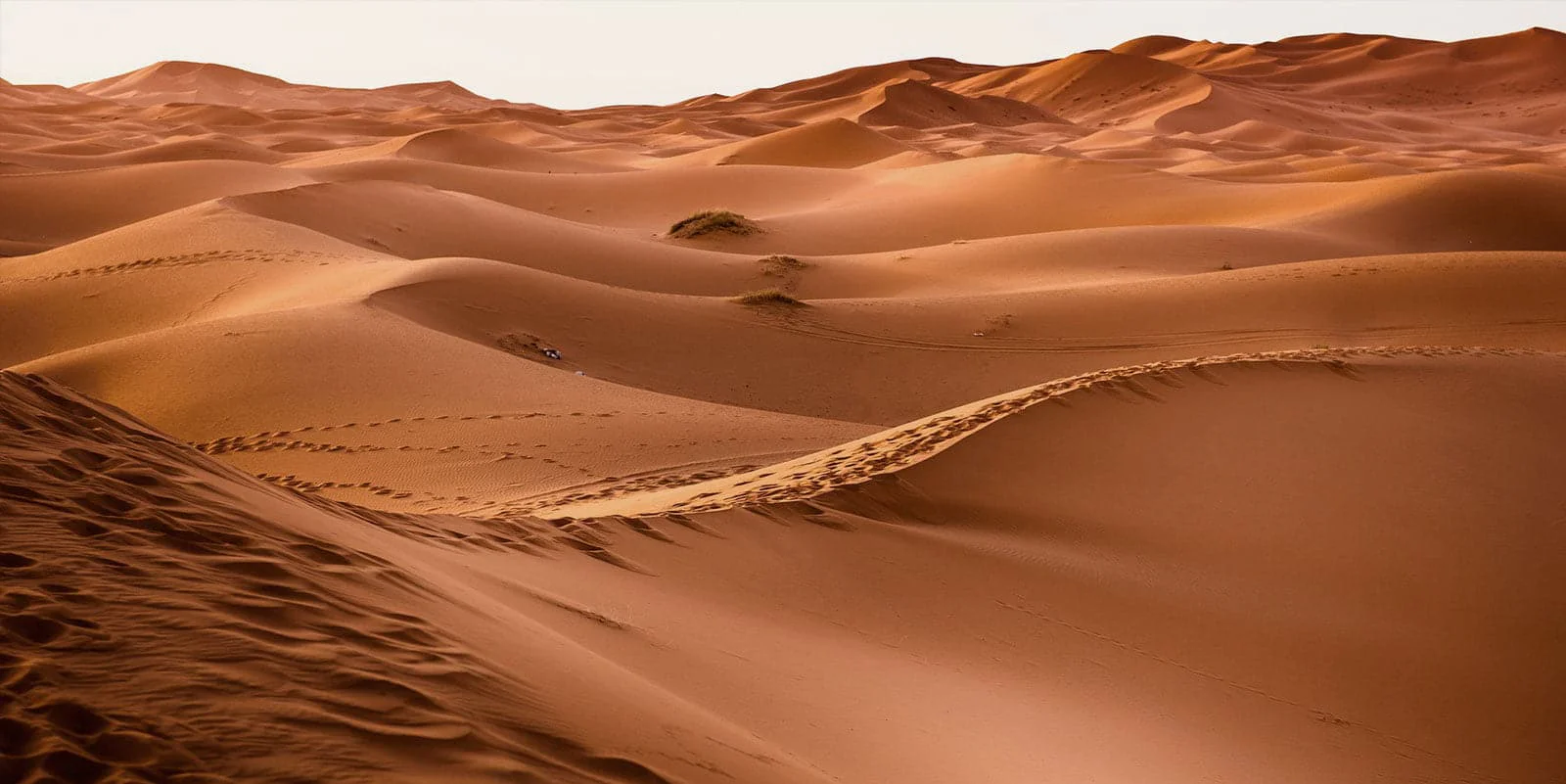 marruecos-desierto-zagora