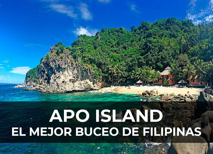 Apo Island: El mejor buceo de Filipinas!