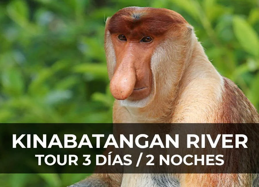 Kinabatangan River: Tour de 3 días y 2 noches