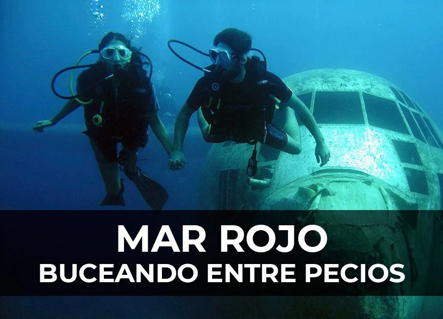 Buceando en el Mar Rojo: corales y pecios