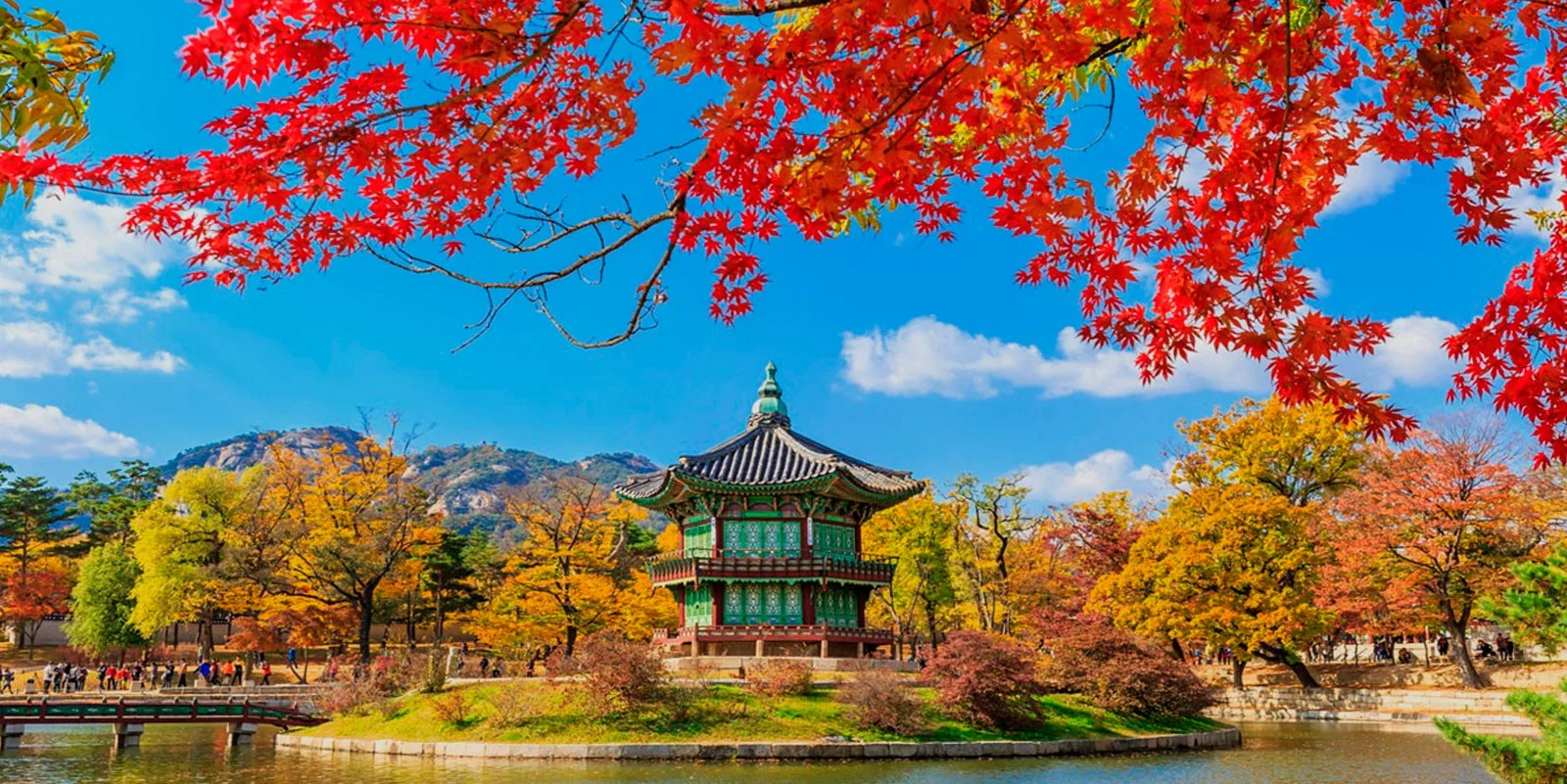 Corea guia completa