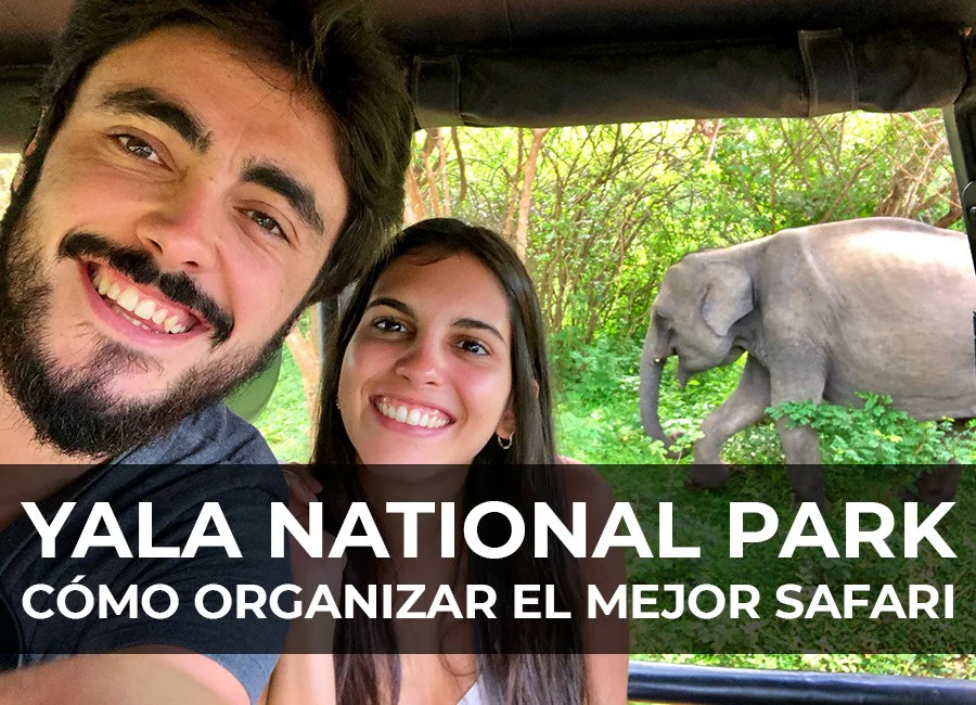 Yala National Park: Cómo organizar el mejor safari con leopardos 🐆