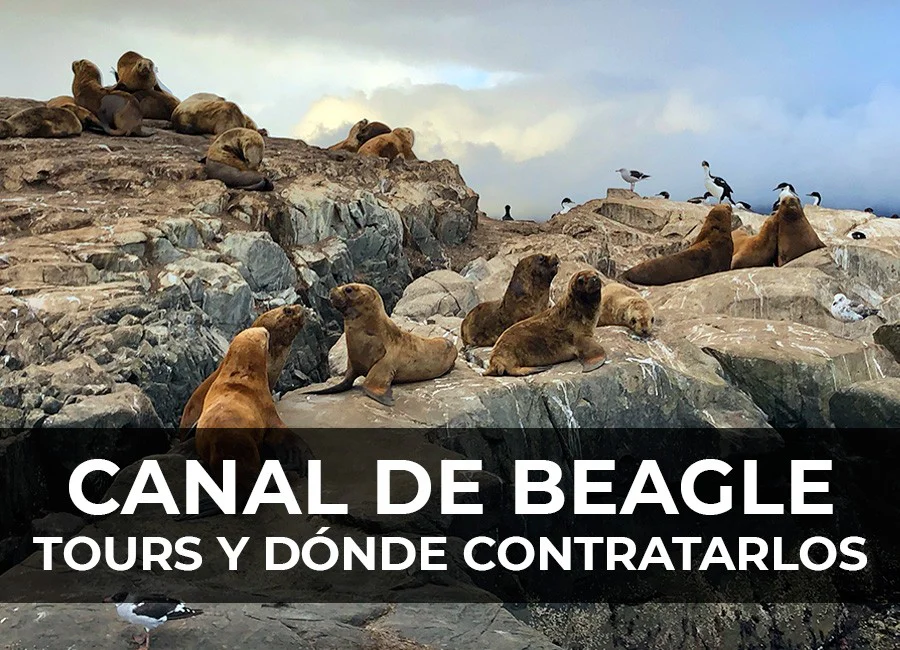 Canal de Beagle: Tours y dónde contratarlo