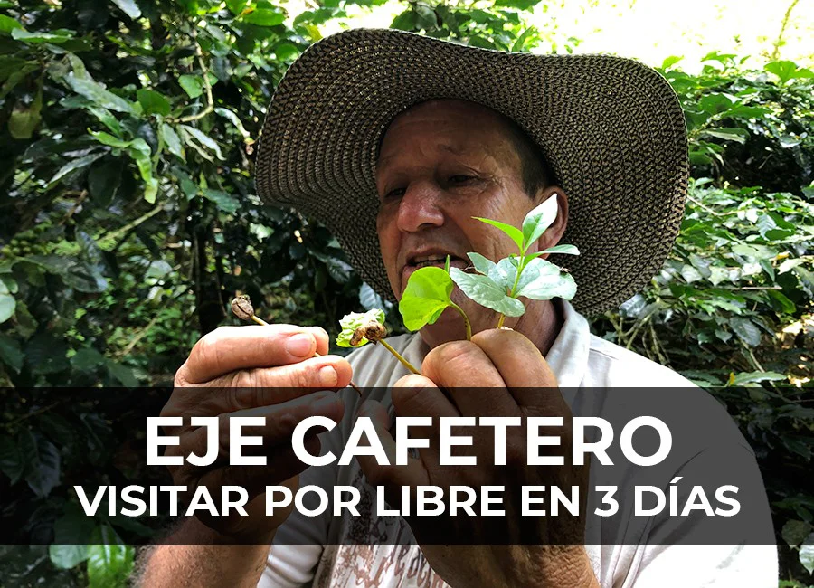 ▷ Que hacer en el EJE CAFETERO por libre – Ruta en 3 días