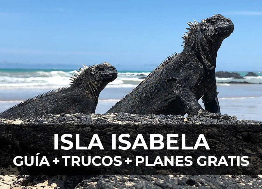 Isla Isabela (Galápagos): Guía + Trucos + Planes gratis