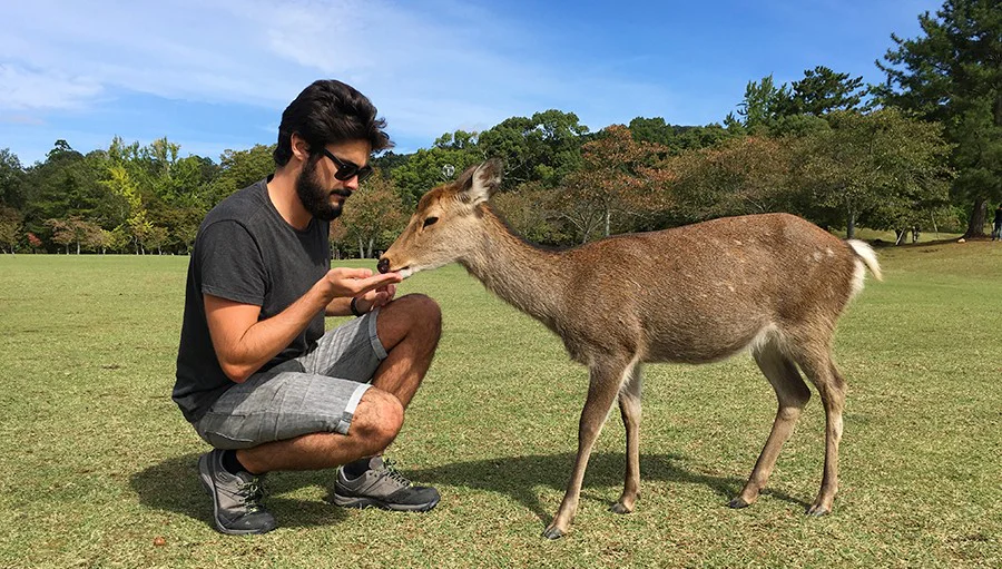 que hacer en nara