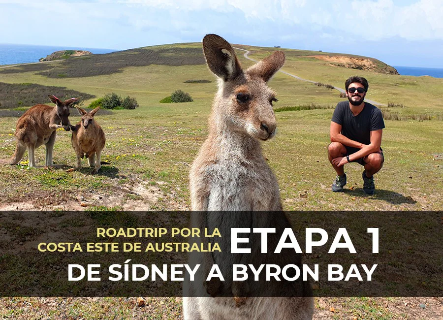 Ruta de Sídney a Byron Bay: Etapa 1 del Roadtrip por la Costa Este de Australia