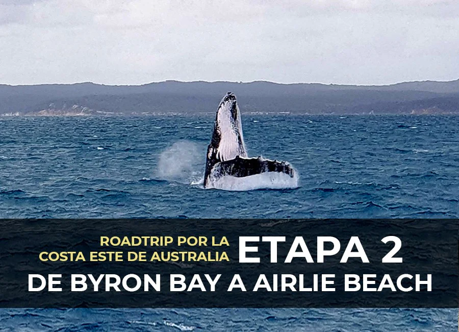 Ruta de Byron Bay a Airlie Beach: Etapa 3 del Roadtrip por la Costa Este de Australia