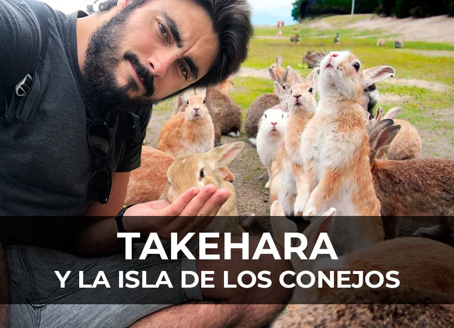 Qué hacer en Takehara, la Isla de los Conejos