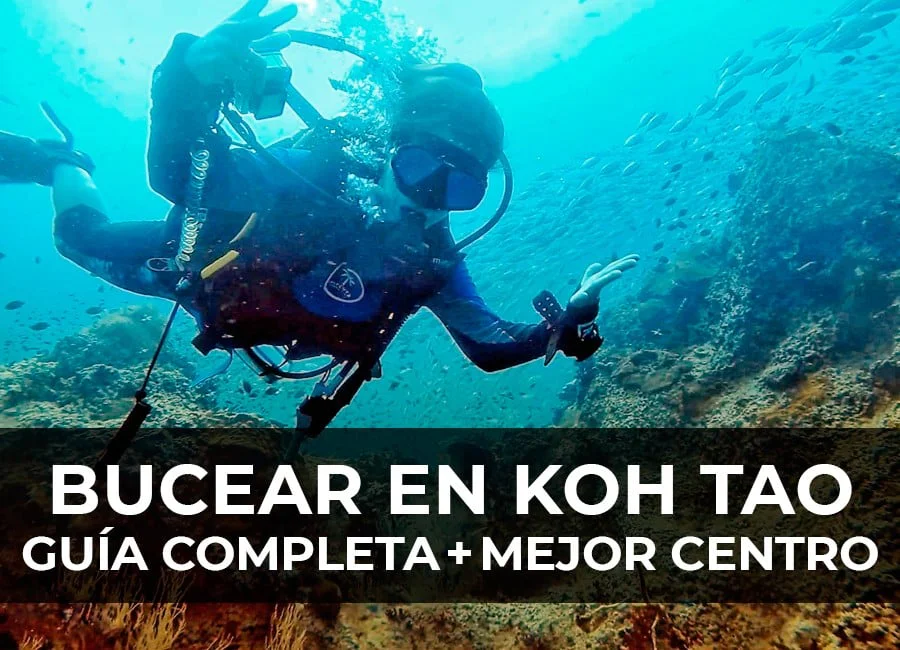 Bucear en Koh Tao: Guía Completa + recomendaciones