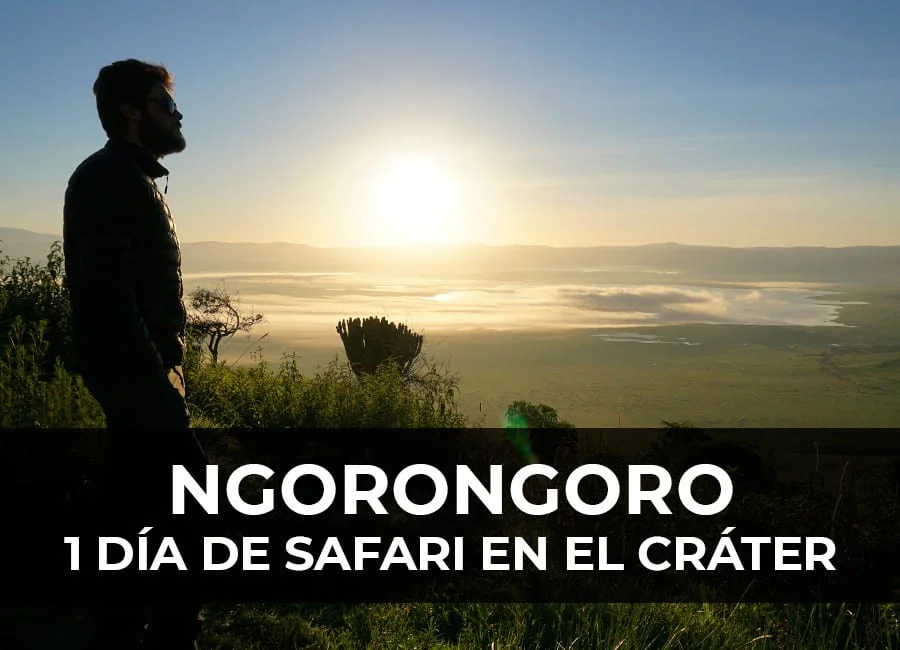 Safari en el Ngorongoro: 1 Día recorriendo el Cráter!
