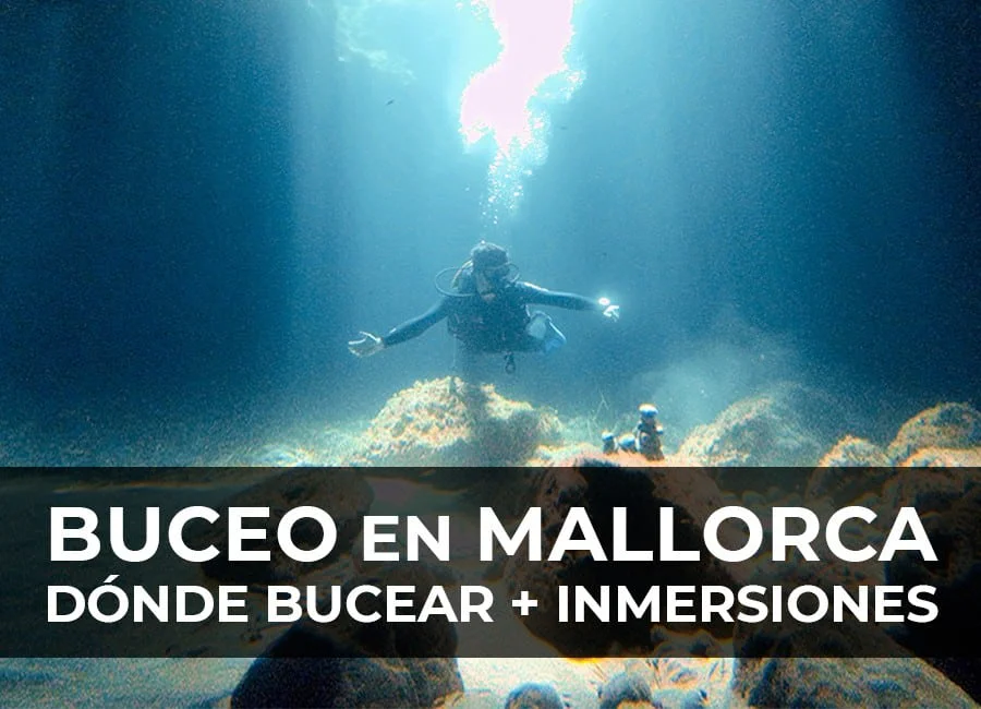 Bucear en Mallorca: Dónde bucear y qué inmersiones hacer