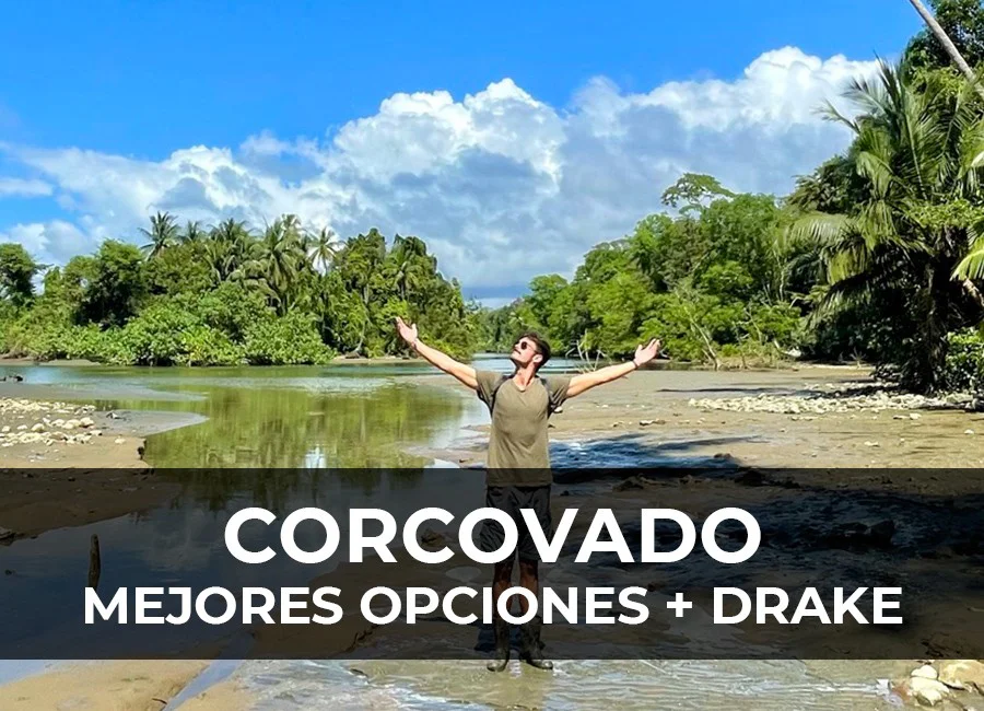 Cómo visitar Bahía Drake y el Parque Nacional Corcovado por libre: itinerario, tours y llegada