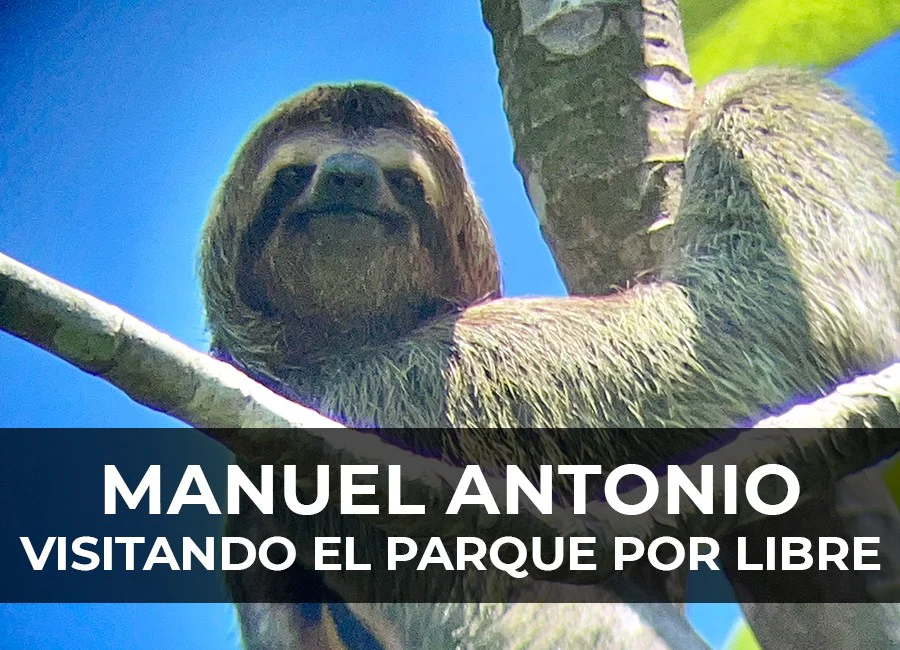 Qué ver en el Parque Nacional Manuel Antonio por libre: fauna, playas y consejos prácticos