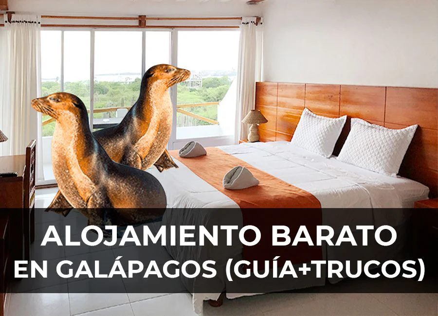 Alojamiento barato en Galápagos: Mejores opciones y cómo encontrarlo