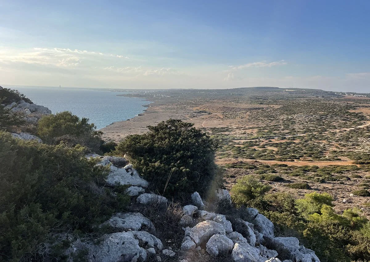 vistas chipre