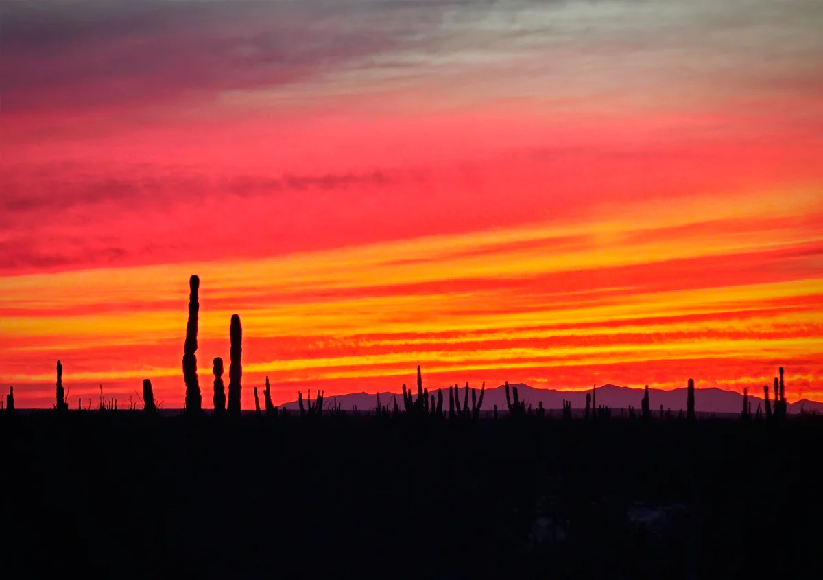 atardecer baja