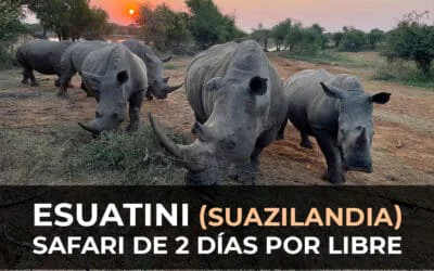 ESUATINI por libre: Hlane National Park + Rinocerontes