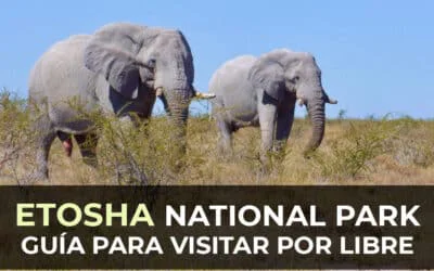 Etosha National Park por libre: Guía + Itinerario de 2/3 días de Safari