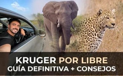 El Kruger por Libre: Guía Definitiva + Consejos