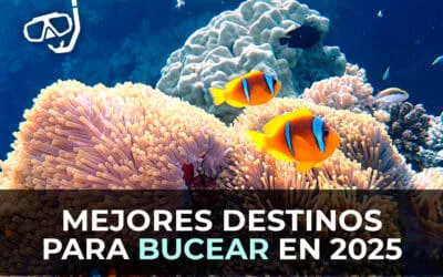 Los mejores destinos poco turísticos para Bucear en 2025