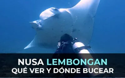Qué Hacer en Nusa Lembongan y Dónde Bucear