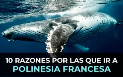 10 Razones para Viajar a Polinesia Francesa en 2026