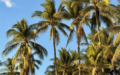 Dónde viajar en DICIEMBRE (mejores destinos por libre y con sol!)
