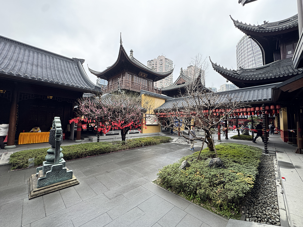 Que ver en shanghai en 2 dias por libre (13)