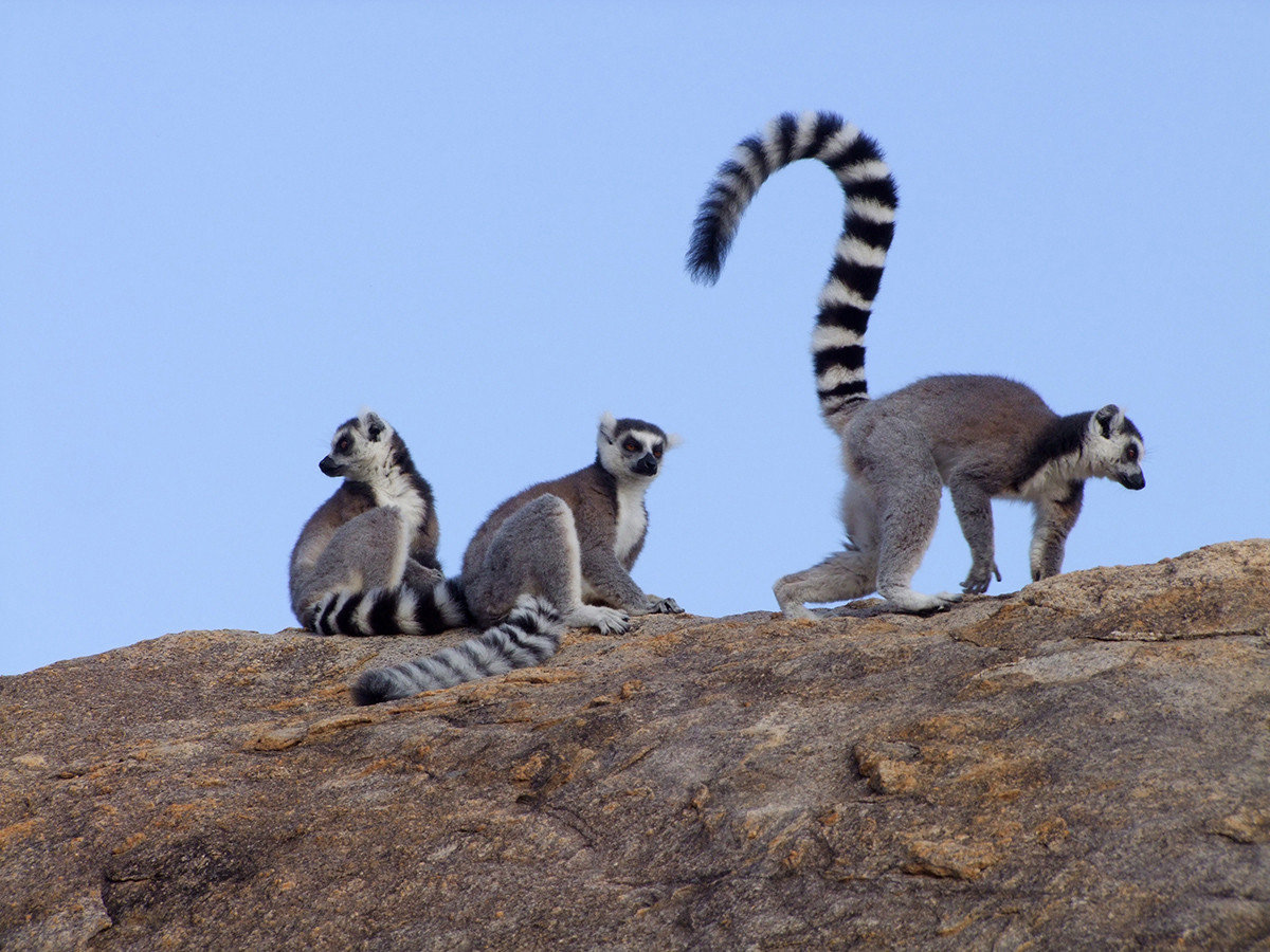 itinerario madagascar 15 dias por libre en 4x4