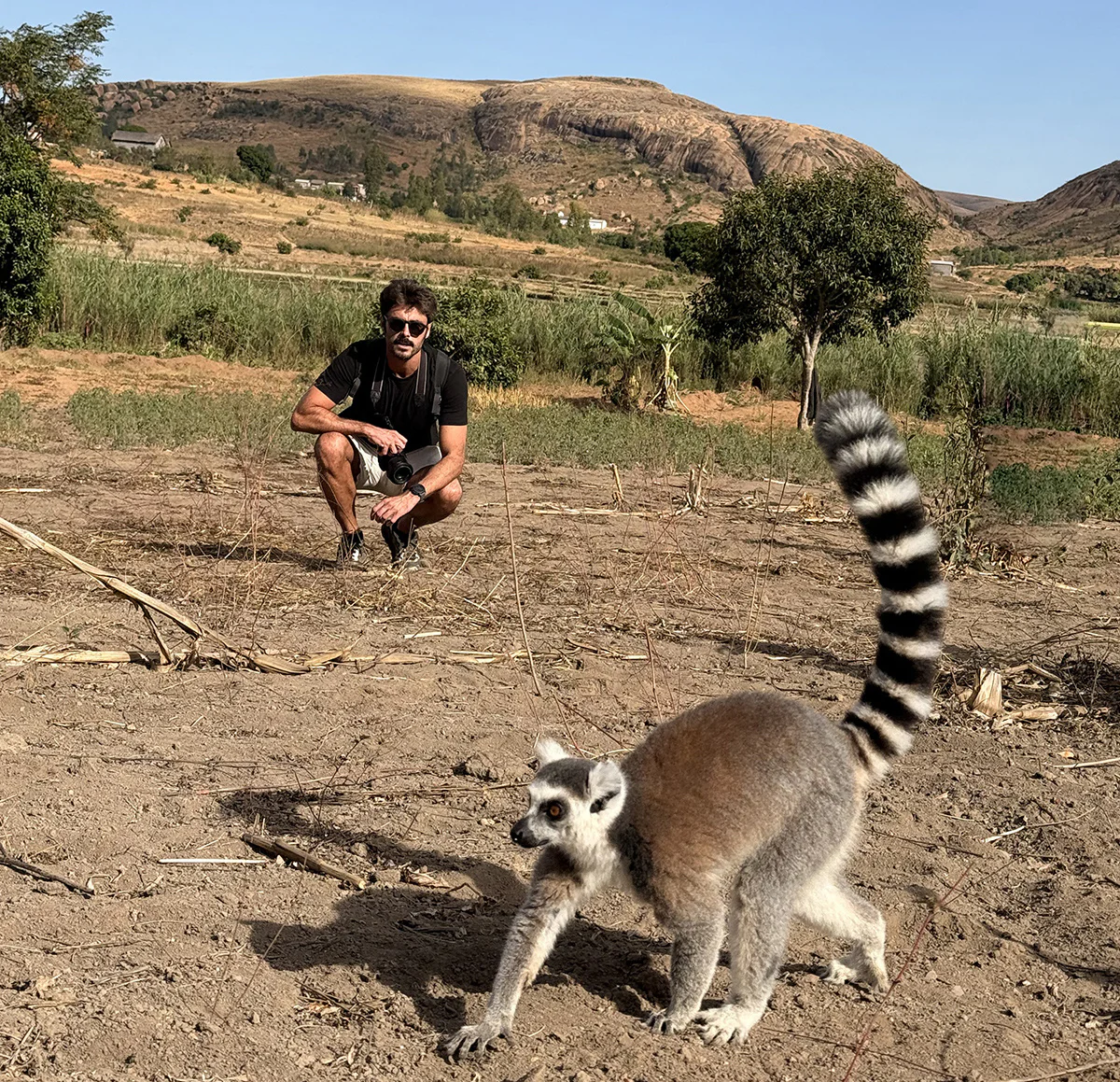lemures anja madagascar