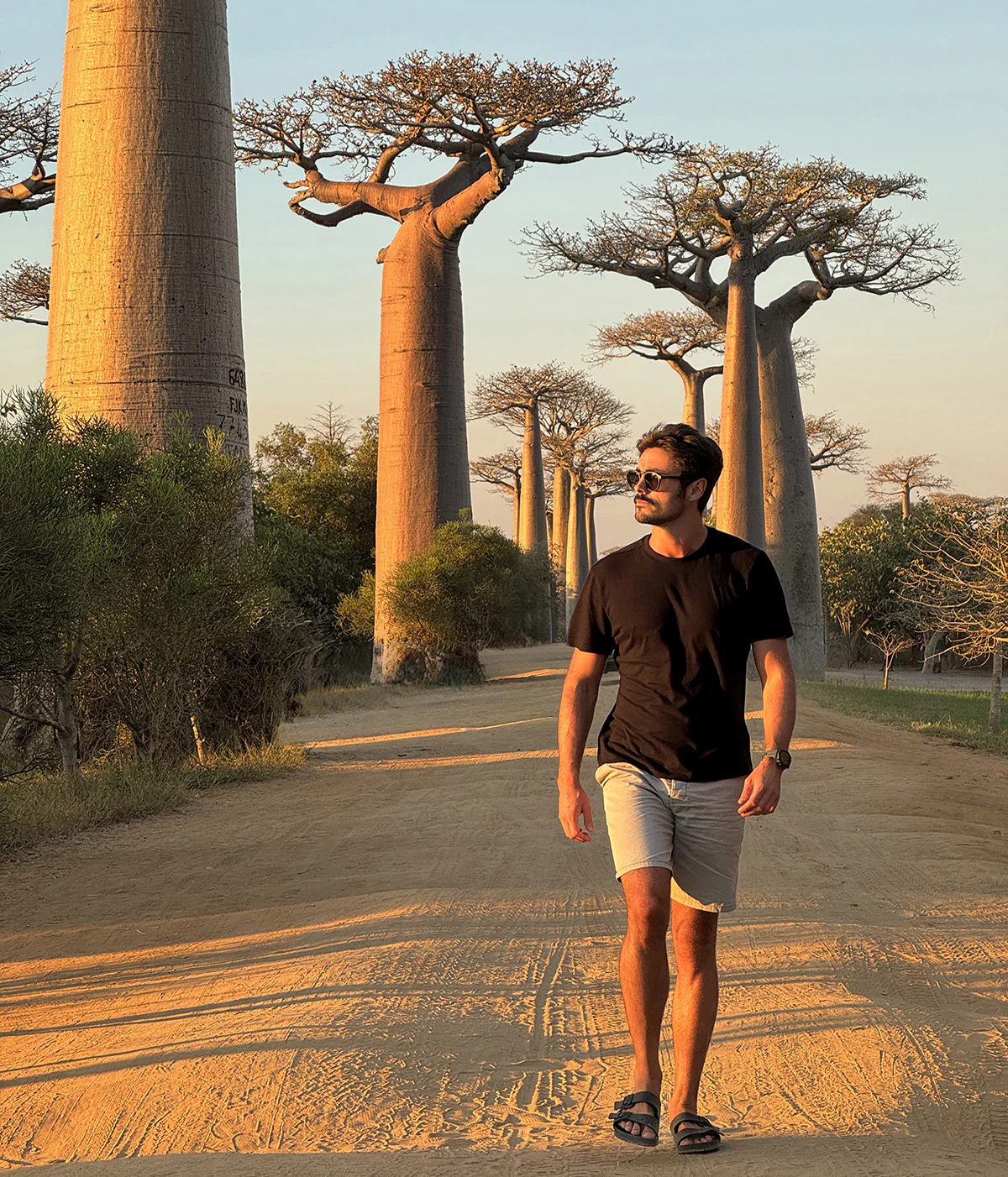 avenida de los baobabs