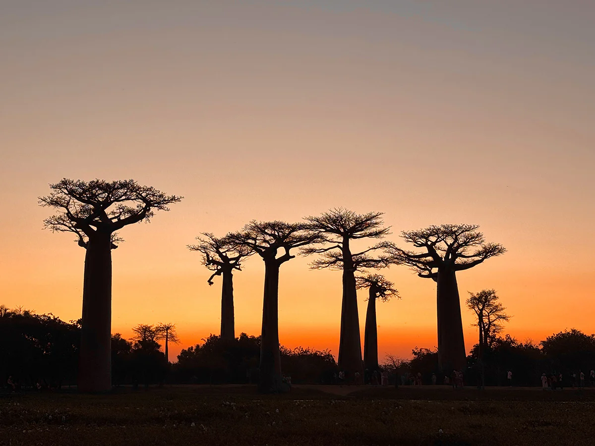 guia para viajar a madagascar por libre