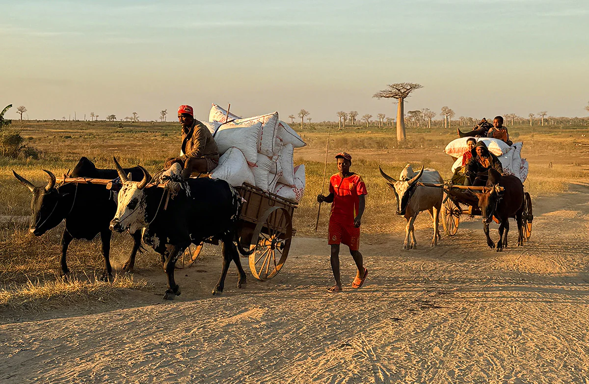 itinerario 15 dias madagascar por libre