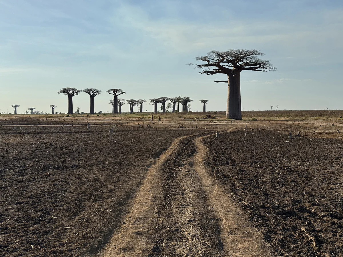 itinerario 15 dias madagascar por libre