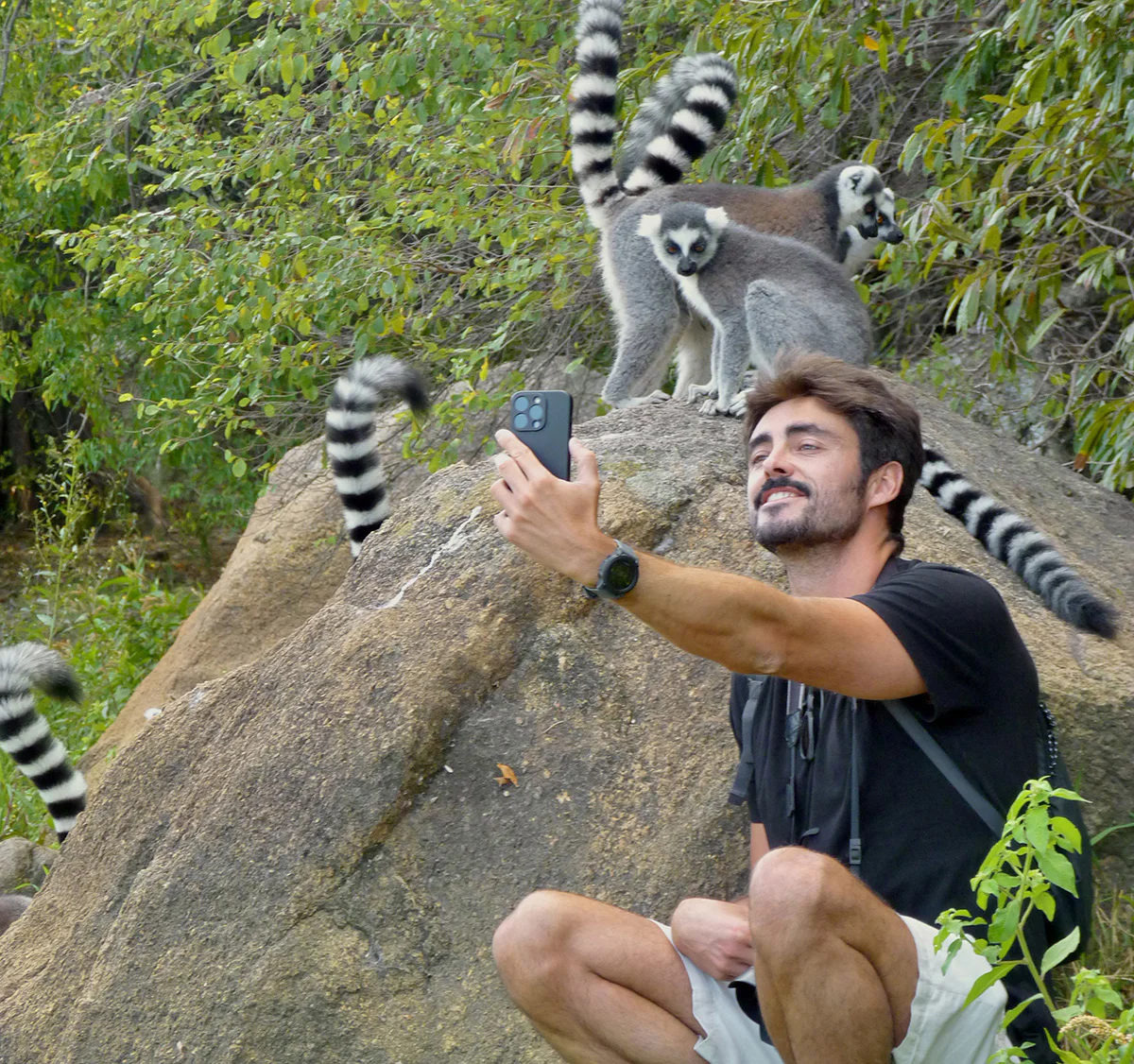 lemures anja madagascar