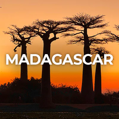 madagascar