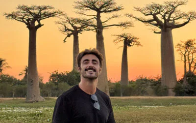 Avenida de los Baobabs y Kirindy: Guía y trucos para no perderte nada