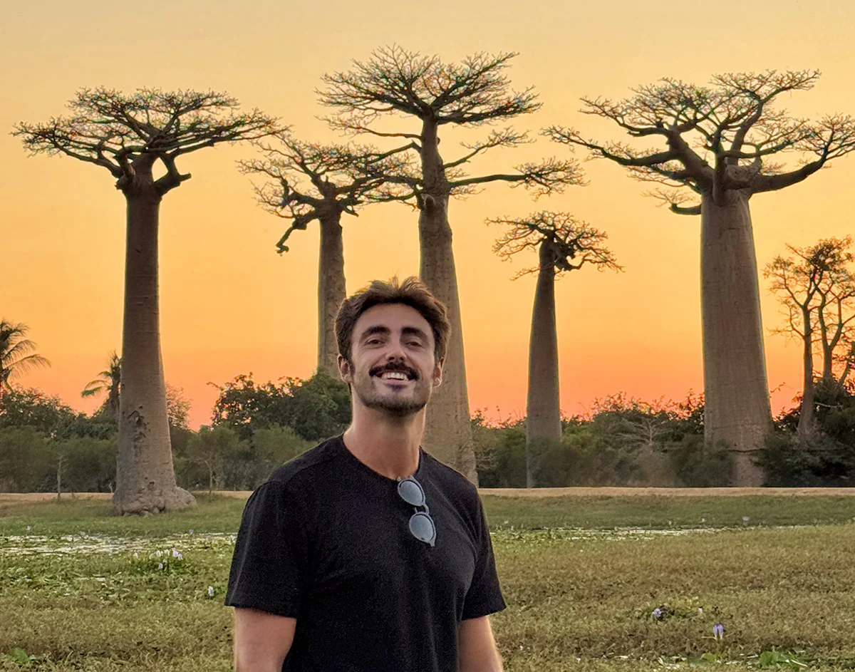 atardecer en avenida de los baobabs madagascar