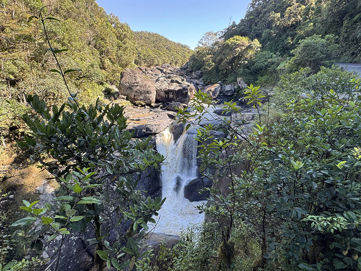 ranomafana parque natural madagascar