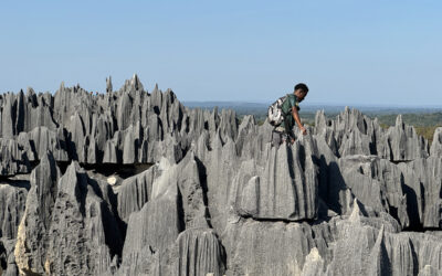Tsingy de Bemaraha: Guía completa del parque + Trekkings