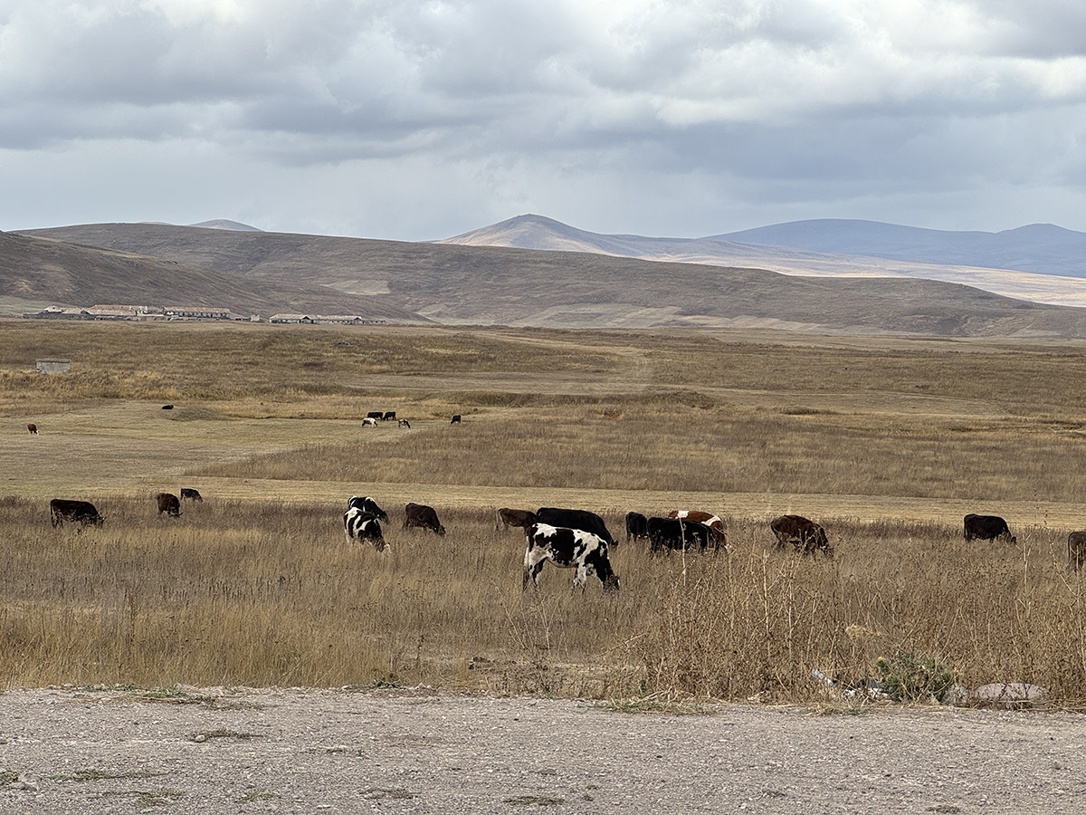 ruta 1 semana armenia por libre en coche (1)