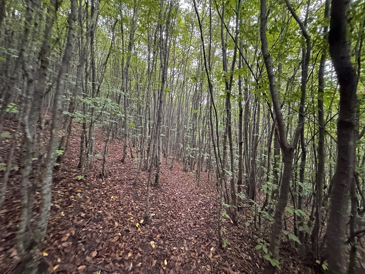trekking dilijan por libre armenia (1)